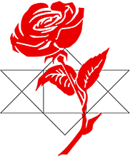 Baryosher - Logo - Rose rouge dans une étoile